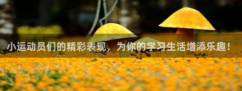 oety欧亿体育官网下载平台是正规平台吗知乎：小运动