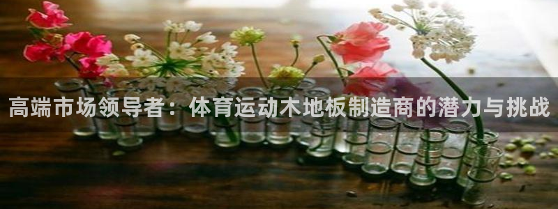 oety欧亿体育官网下载招商电话号码：高端市场领导者