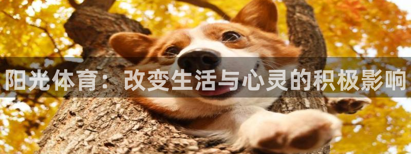 欧亿体育官方正版app官网：阳光体育：改变生活与心灵