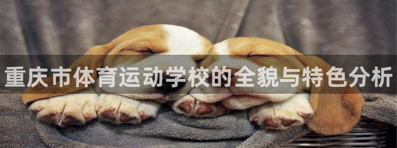 oety欧亿体育官网下载娱乐：重庆市体育运动学校的全貌与特色