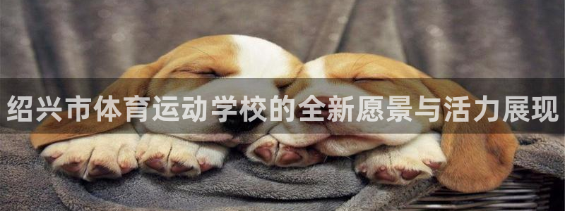 欧亿体育官方正版app娱乐是那个系列的台子：绍兴市体育运动学