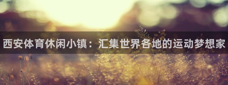 欧亿体育官方正版app集团官网首页：西安体育休闲小镇：汇集世