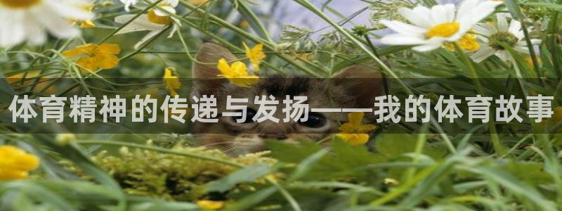 欧亿体育官方正版app娱乐下载：体育精神的传递与发扬