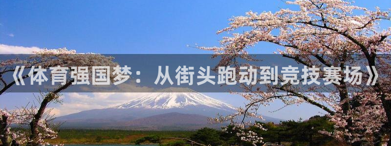 oety欧亿体育官网下载招商电话号码查询