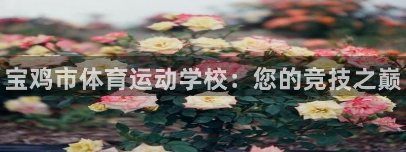 oety欧亿体育官网下载开户：宝鸡市体育运动学校：您的竞技之