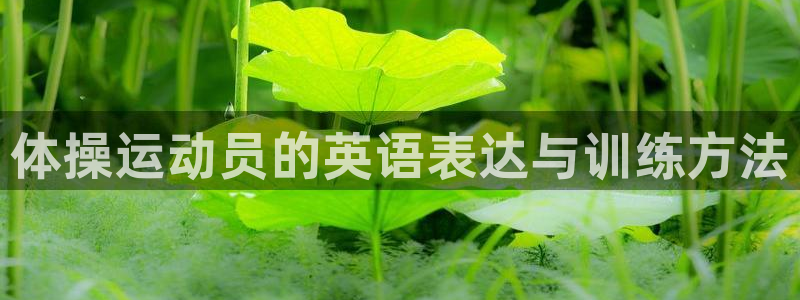 oety欧亿体育官网下载平台APP：体操运动员的英语表达与训