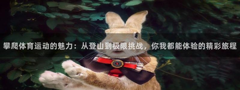 oety欧亿体育官网下载平台注册：攀爬体育运动的魅力：从登山