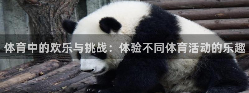 oety欧亿体育官网下载平台假的吗是真的吗：体育中的欢乐与挑