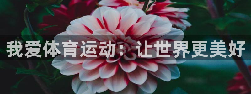 欧亿体育官方正版app科技：我爱体育运动：让世界更美