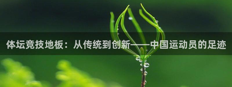 欧亿体育官方正版app开户：体坛竞技地板：从传统到创