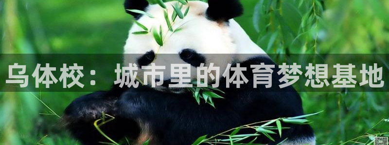 欧亿体育官方正版app官方：乌体校：城市里的体育梦想基地