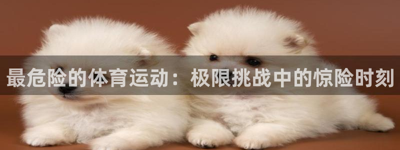 德国欧亿体育官方正版app集团
