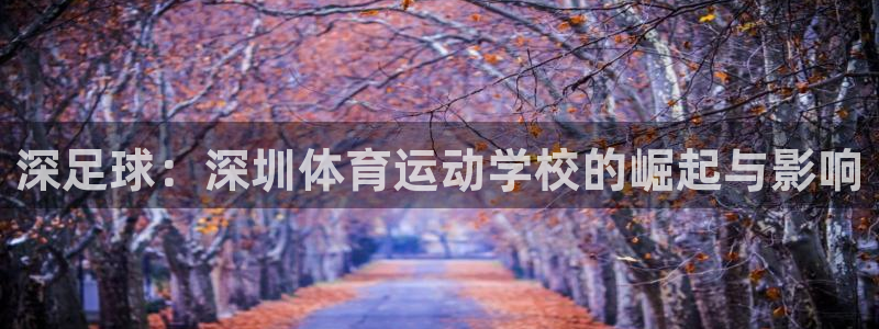 欧亿体育官方正版app娱乐下载：深足球：深圳体育运动学校的崛