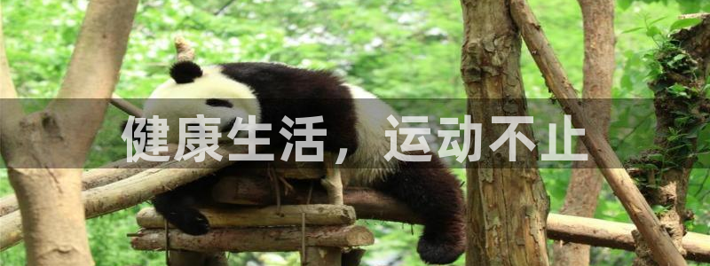 欧亿体育官方正版app娱乐是那个系列的台子：健康生活，运动不