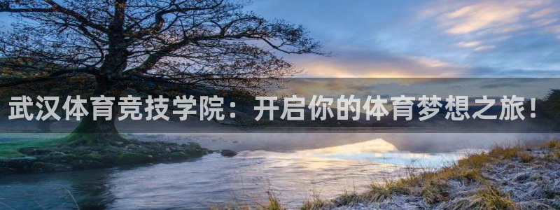 oety欧亿体育官网下载是干嘛的公司：武汉体育竞技学院：开启