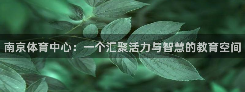 oety欧亿体育官网下载开户：南京体育中心：一个汇聚