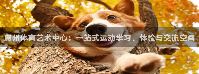 oety欧亿体育官网下载招商电话号码是多少号：惠州体